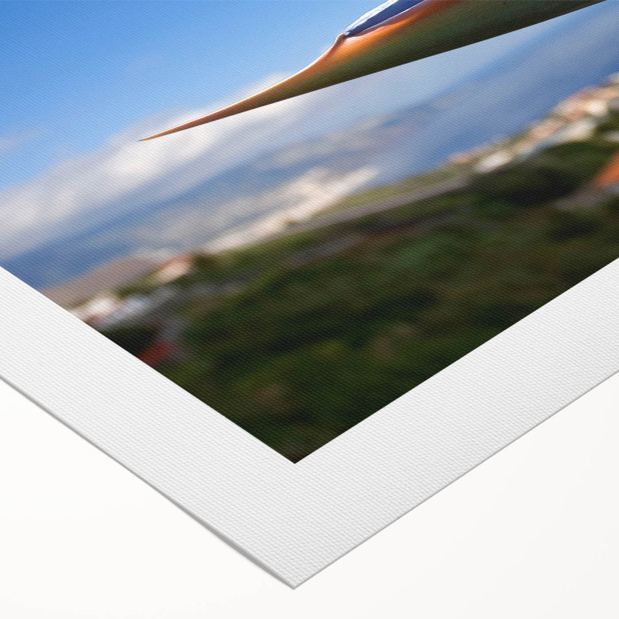 Vibrant rolled canvas artwork showcasing a botanical bird of paradise design, featuring lush colors and intricate details, perfect for home decor.