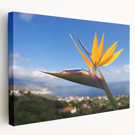 Stretched canvas wall art showcasing a vibrant Bird of Paradise floral design, featuring rich colors and intricate details, perfect for home decor enhancement.