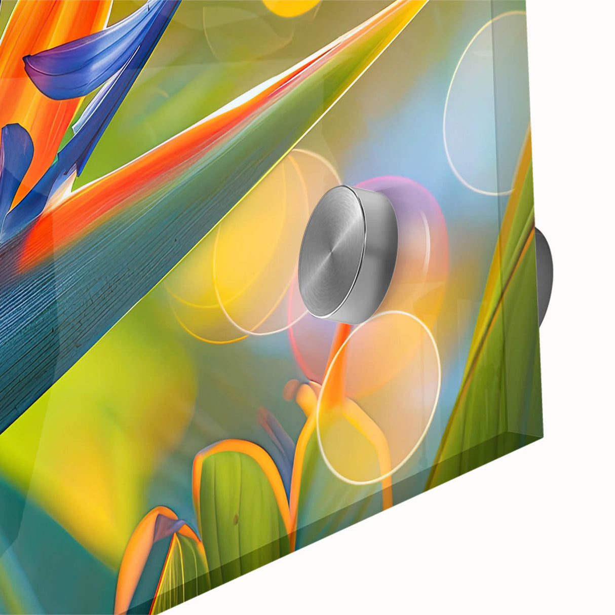 Close-up of a vibrant Bird of Paradise wall art design featuring vivid colors and intricate botanical details, perfect for enhancing home decor aesthetics.