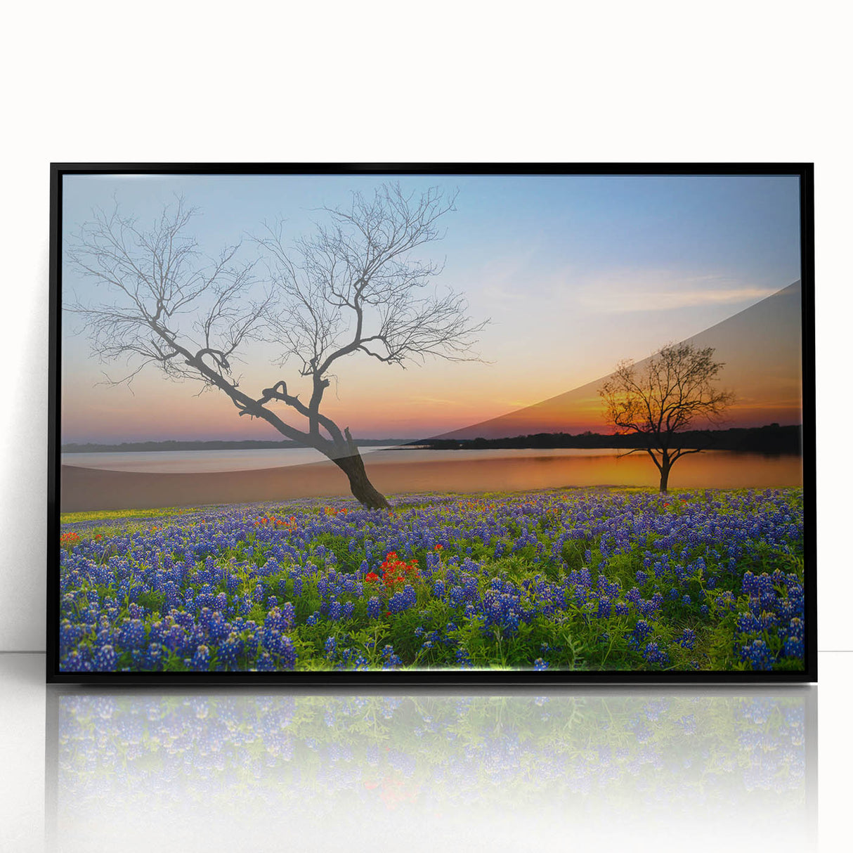 Framed wall art featuring a vibrant bluebonnet botanical design on an acrylic background, with a sleek black frame, perfect for home decor enthusiasts.