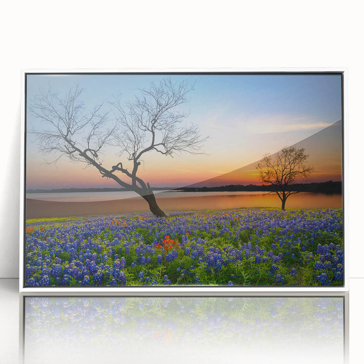 Framed wall art showcasing a botanical bluebonnet design, featuring vibrant blue and green hues against a white background, ideal for home decor.