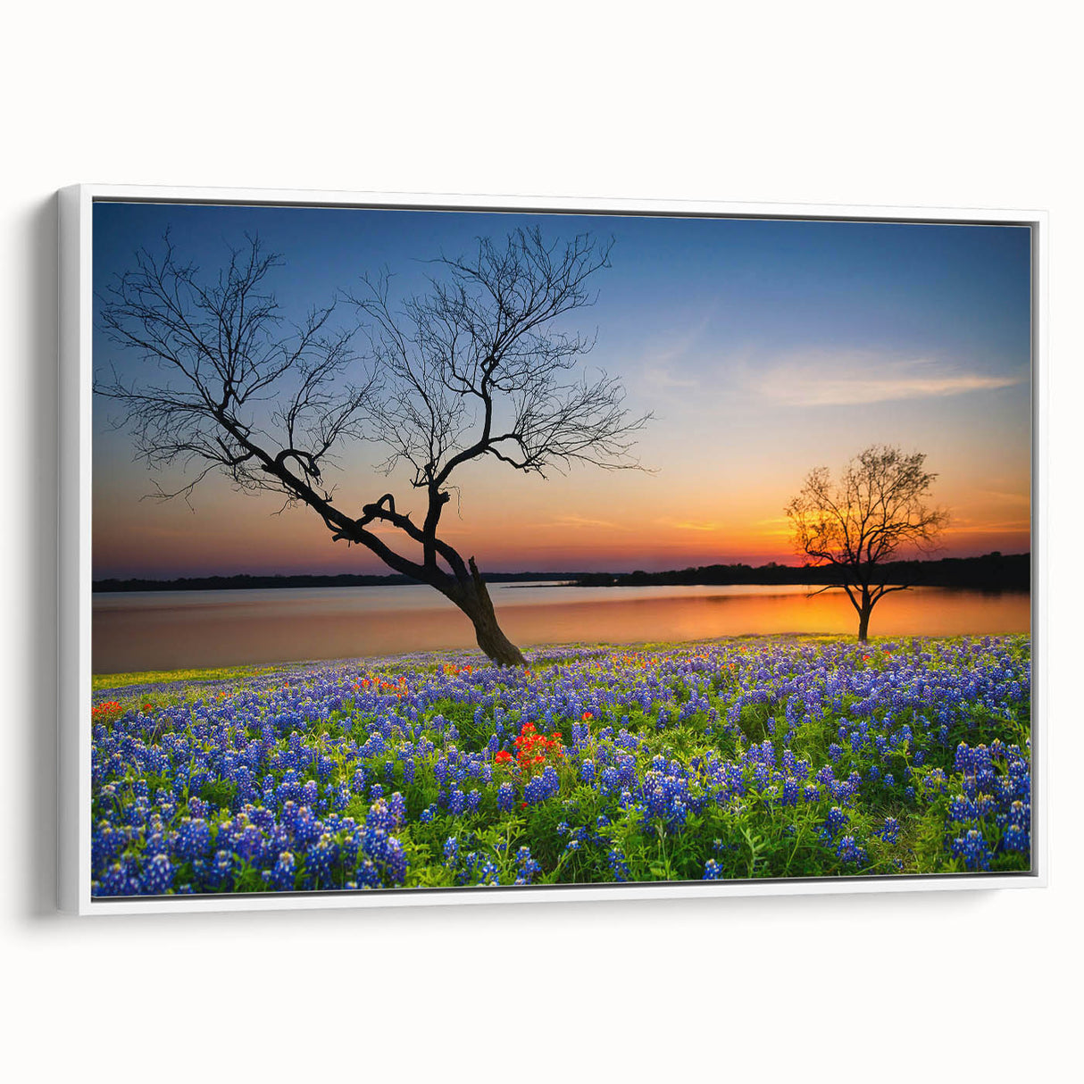 Framed canvas wall art showcasing a vibrant bluebonnet botanical design, presented in a sleek white frame, ideal for home decor enthusiasts seeking nature-inspired aesthetics.