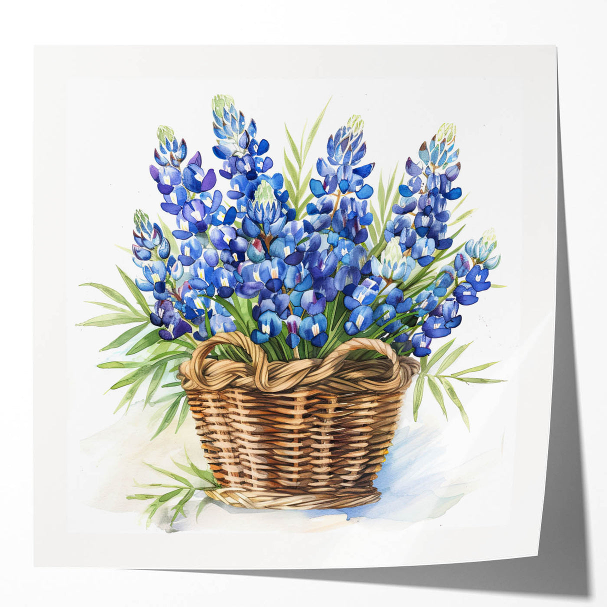 Botanical wall art print featuring vibrant bluebonnet flowers against a soft blue background, rolled and ready for framing, perfect for home decor enthusiasts.