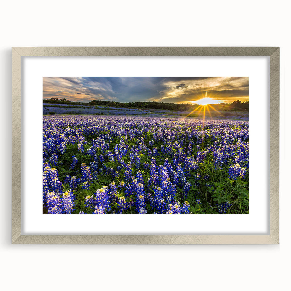 Botanical bluebonnet wall art print framed with a silver mat, showcasing vibrant blue and green floral designs, perfect for home decor or nature enthusiasts.