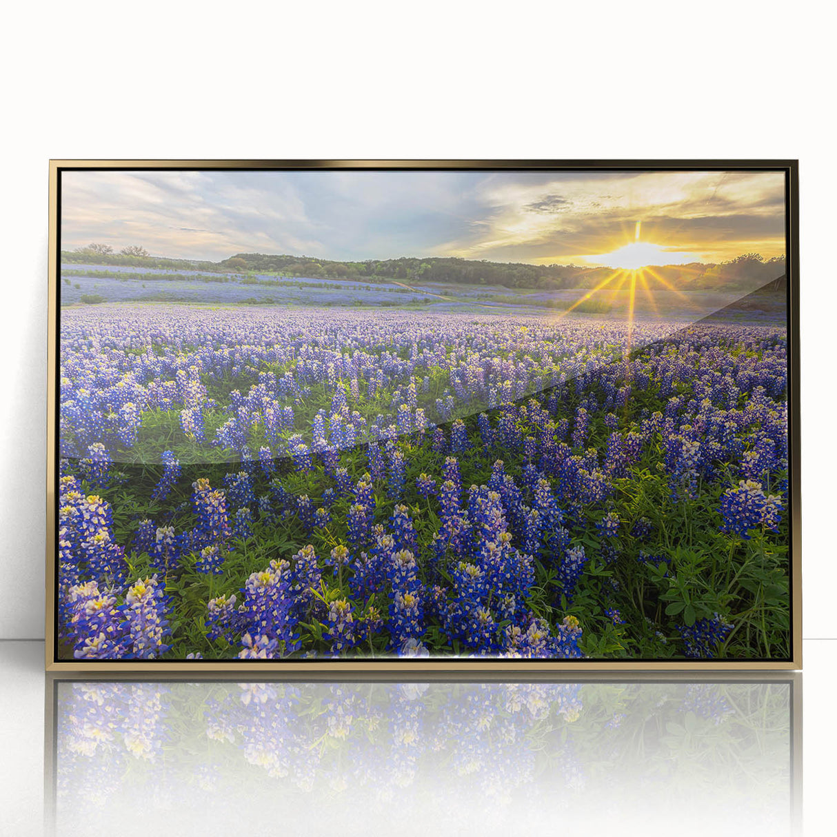 Framed wall art featuring a botanical bluebonnet design in vibrant colors, set in a gold frame, perfect for enhancing home decor with natural beauty.