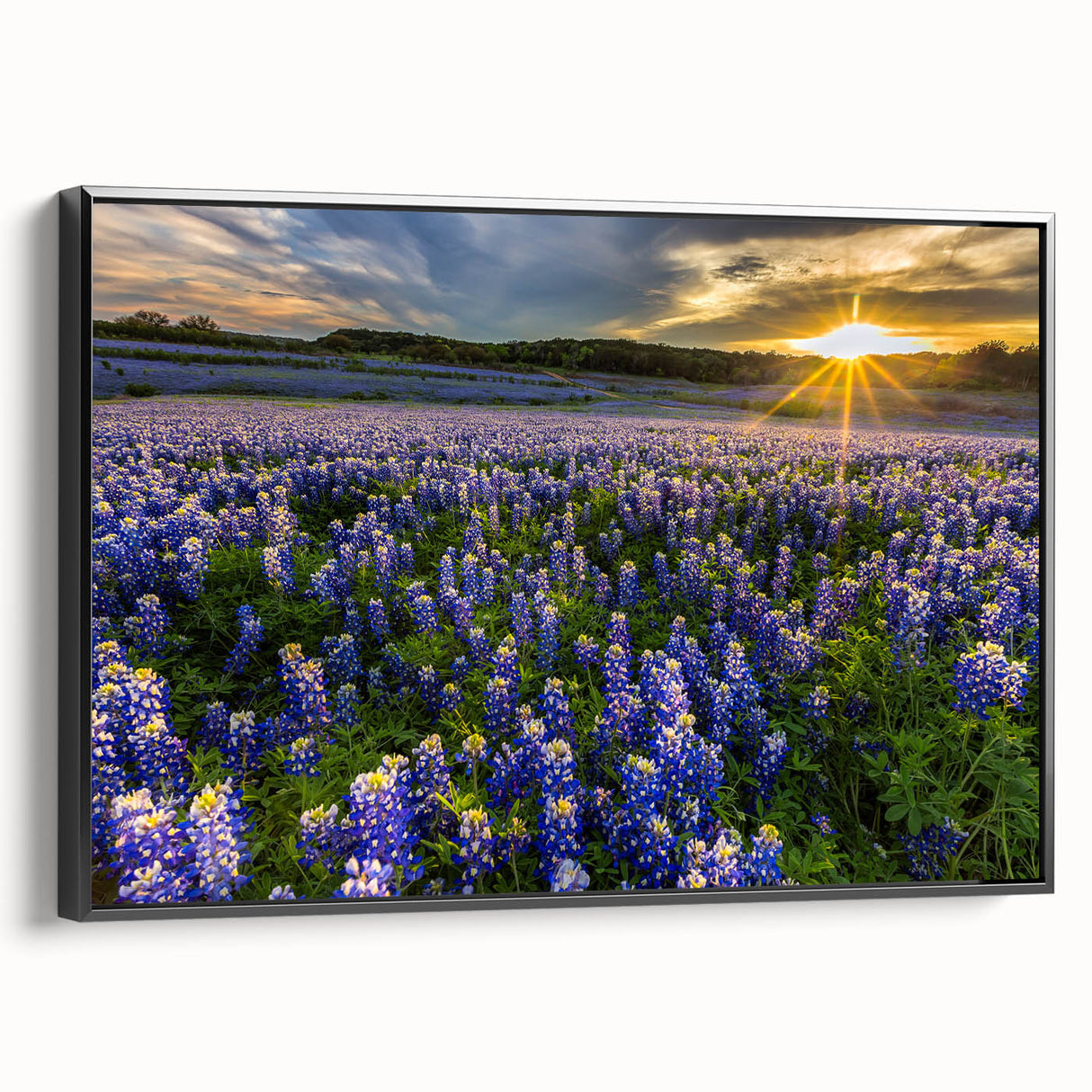 Framed canvas wall art showcasing a vibrant bluebonnet botanical design, displayed from a side view against a neutral background, emphasizing its black frame and detailed floral patterns. Perfect for home decor enthusiasts looking to enhance their space with nature-inspired art.