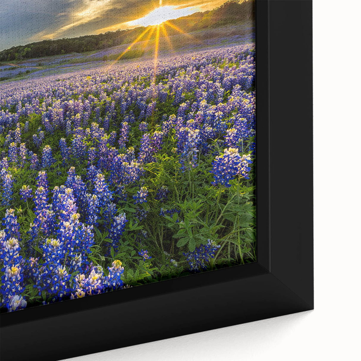 Close-up view of a framed canvas wall art featuring a vibrant bluebonnet floral design. The artwork showcases intricate details and rich colors, perfect for home decor.