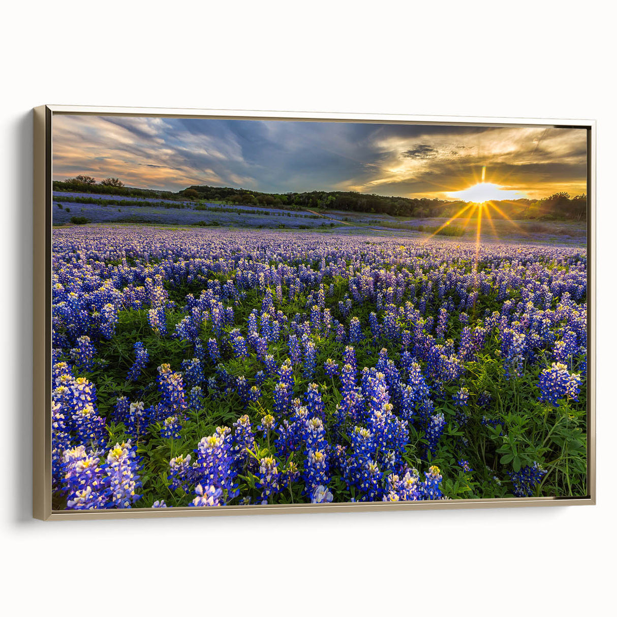 Framed canvas wall art showcasing a vibrant bluebonnet botanical design with a gold frame, ideal for adding a touch of elegance to home decor.