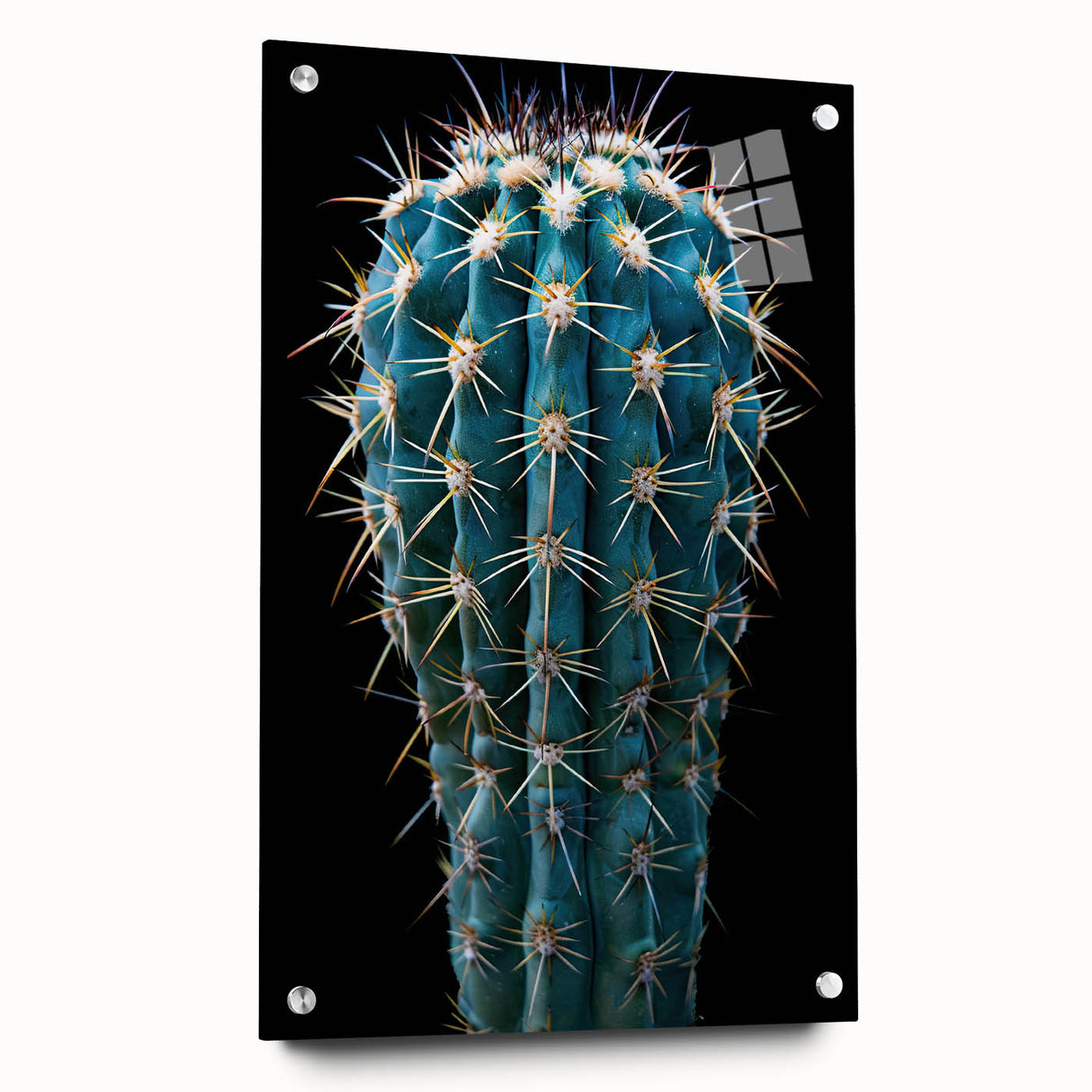 Acrylic wall art showcasing a botanical cactus design, featuring vibrant green and earthy tones, displayed in a side view with decorative pins, perfect for modern decor.