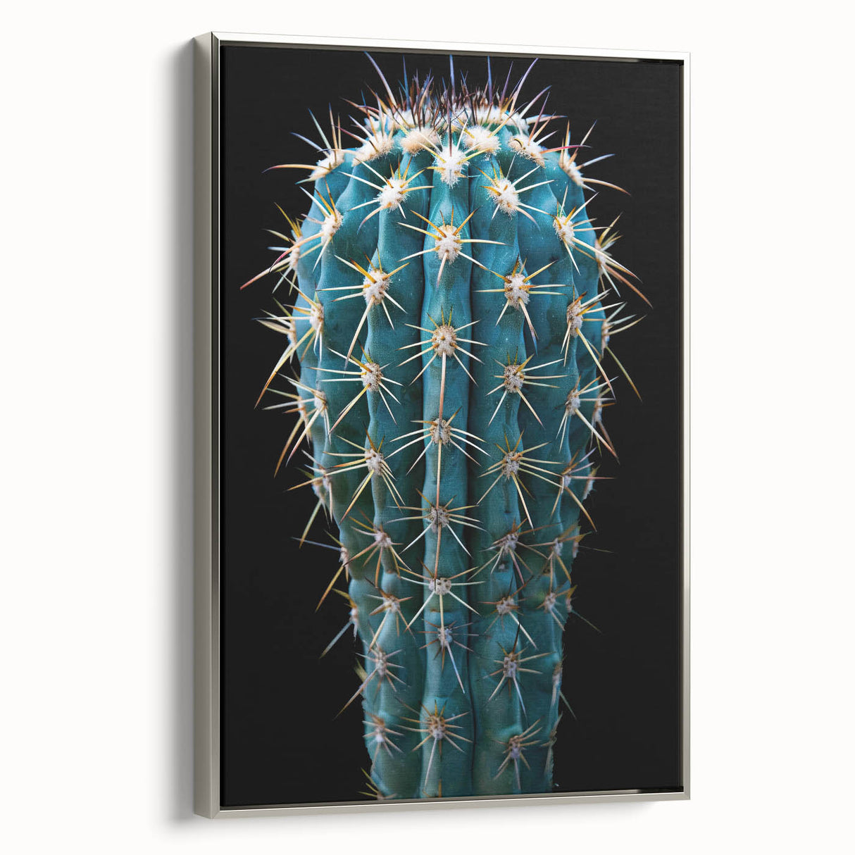 Framed canvas wall art featuring a botanical cactus design in silver tones, showcasing intricate details and textures, ideal for modern home decor.
