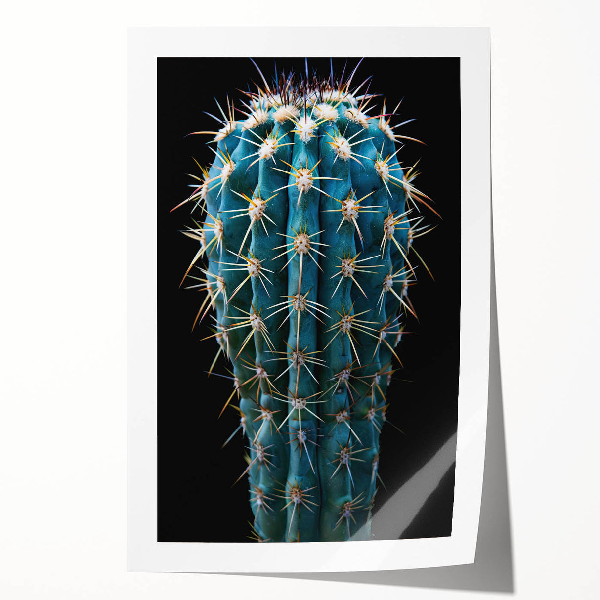 Vibrant botanical wall art print showcasing a colorful cactus design, rolled for easy handling and display, perfect for modern home décor or art enthusiasts.