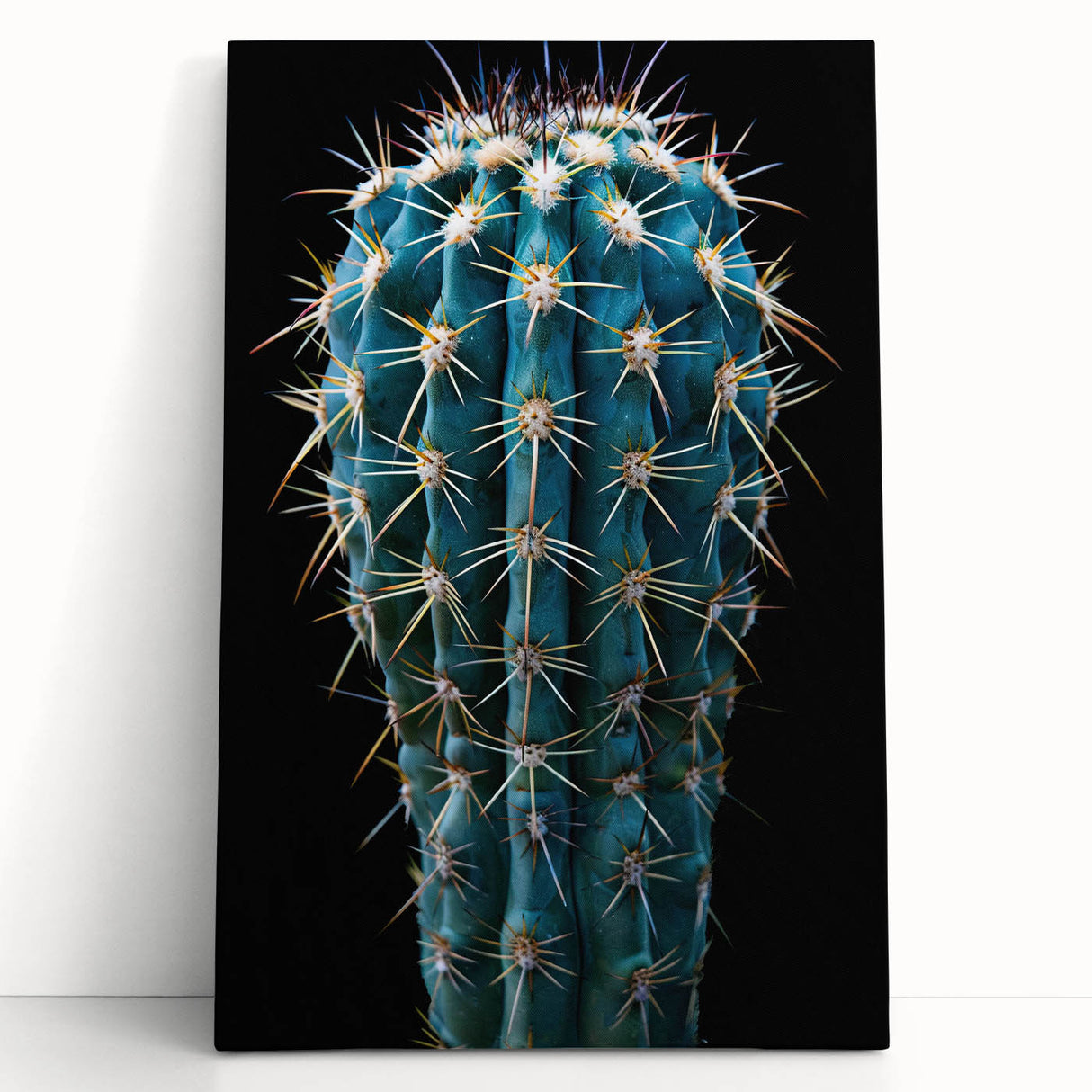 Vibrant botanical cactus design on stretched canvas wall art, showcasing intricate details and bright colors, perfect for modern home decor or gallery walls.