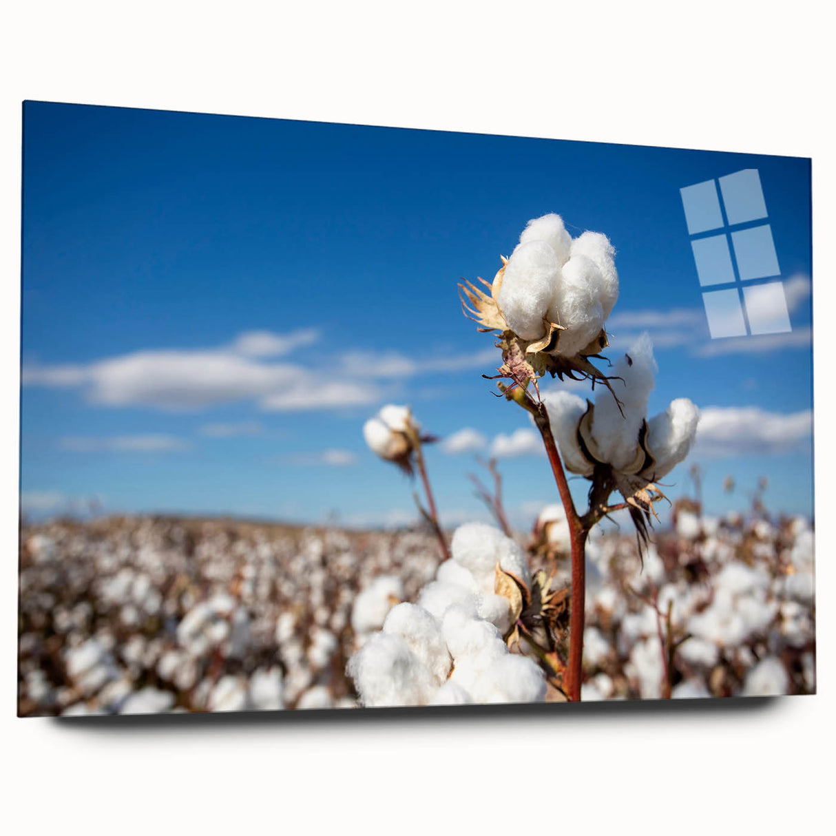 Botanical wall art print featuring vibrant flowers on cotton, displayed in a clear acrylic frame, highlighting intricate details and colors for a modern decor.