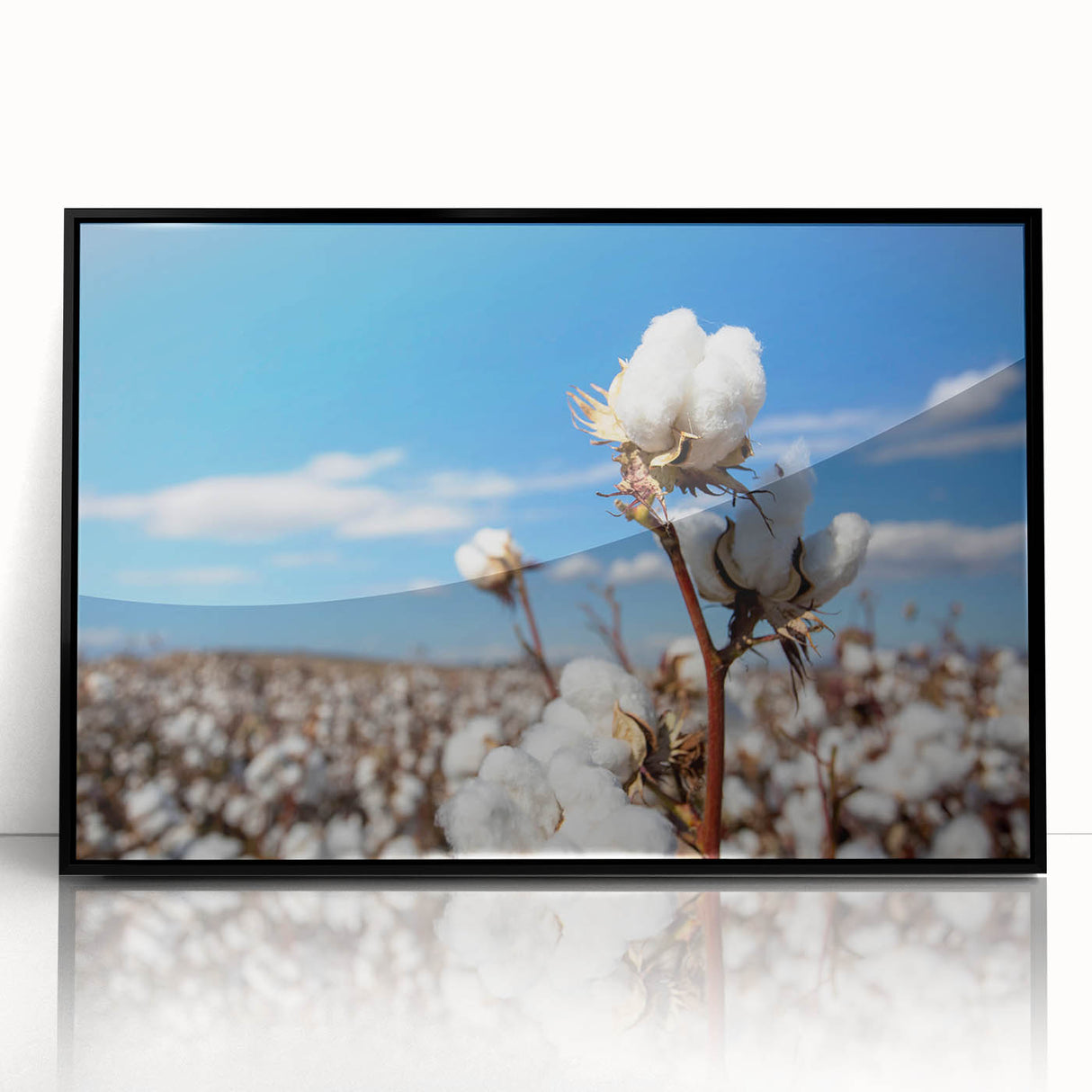 Framed botanical wall art featuring an intricate floral design on cotton, presented in a sleek black frame with acrylic front, perfect for home decor.