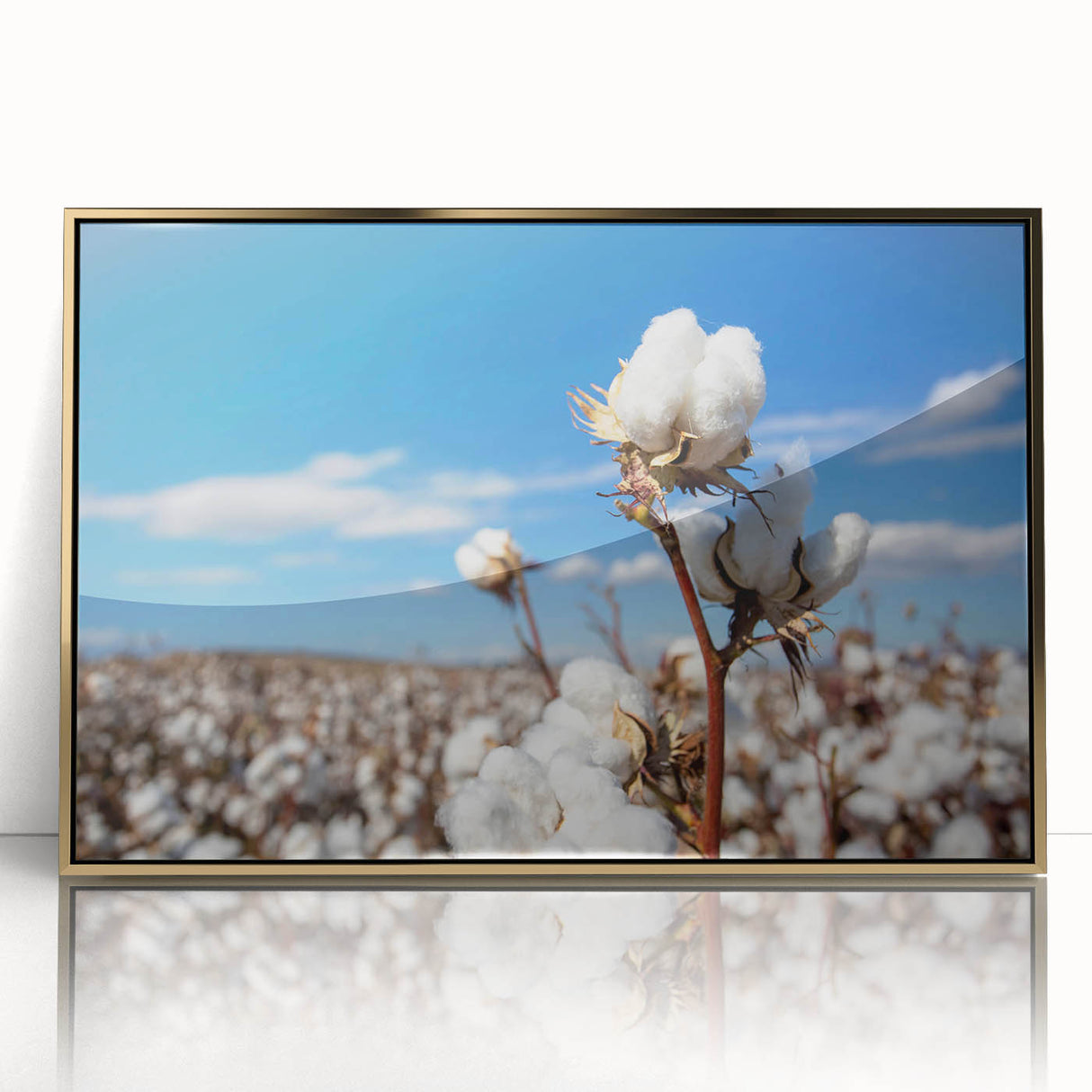 Framed acrylic wall art featuring a vibrant botanical flower design in gold accents, perfect for enhancing home decor with a touch of nature-inspired elegance.