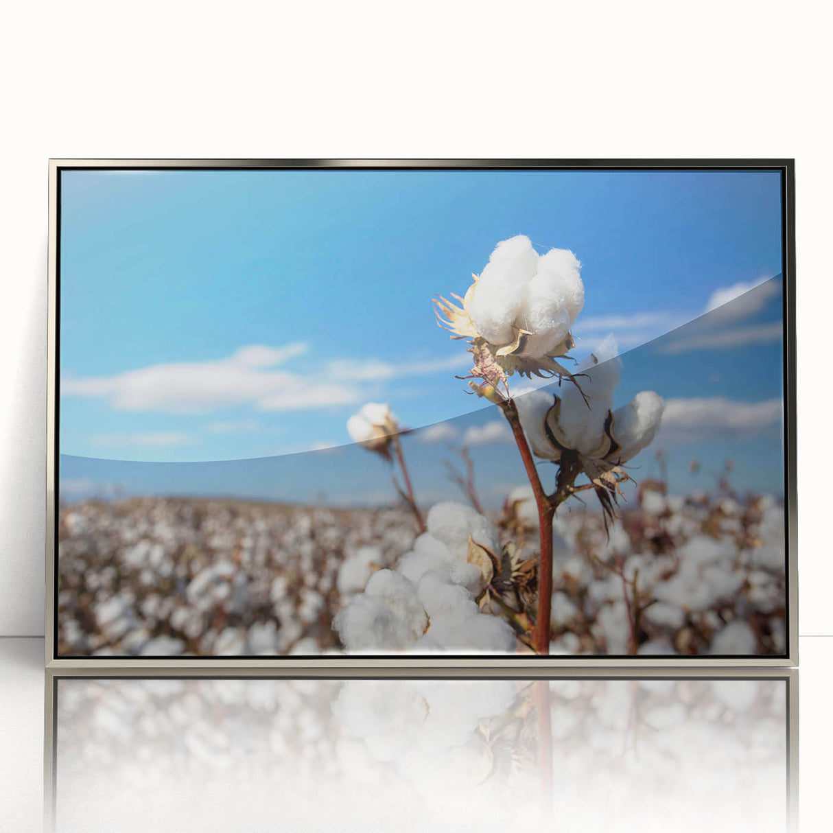 Framed botanical wall art featuring a vibrant floral cotton design with a sleek silver frame, enhancing any modern home decor and adding a touch of nature.