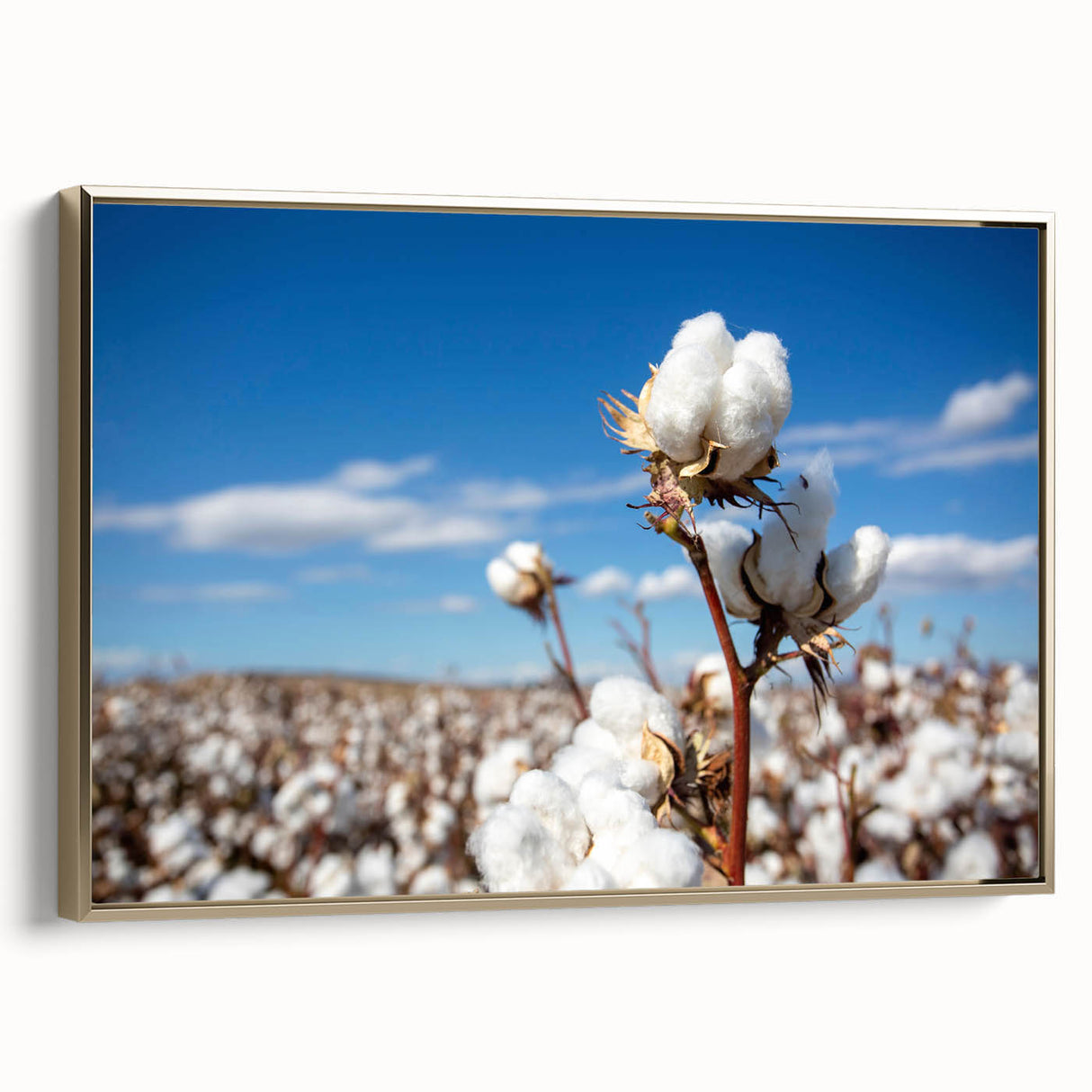 Framed botanical wall art featuring a vibrant flower design on cotton canvas, elegantly bordered with a gold frame, showcasing a side view highlighting its texture and craftsmanship.