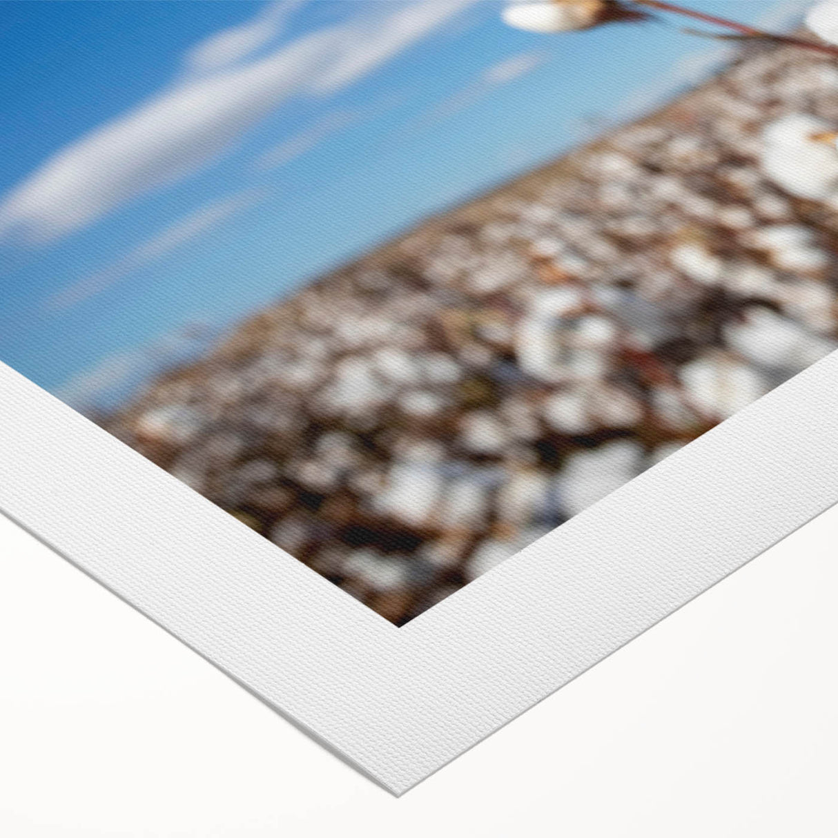 Botanical wall art design on rolled canvas, showcasing vibrant flowers in a colorful arrangement, perfect for home decor or art enthusiasts.