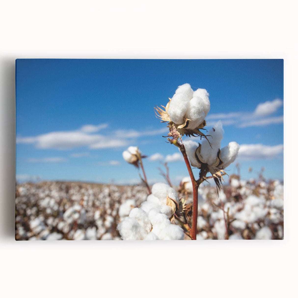 Colorful botanical wall art canvas featuring a floral design with vivid flowers and greenery, perfect for home decor, adding a natural touch to interior spaces.