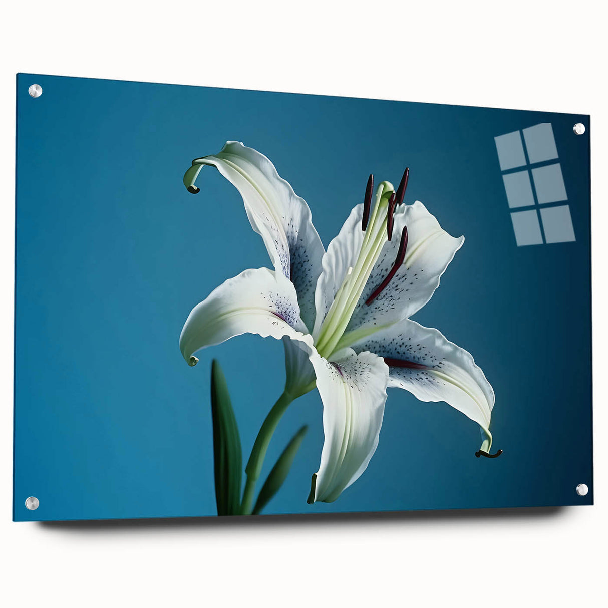 Acrylic glass wall art displaying a botanical daffodil design, showcased from the side with pins securing it, ideal for home decor enthusiasts.