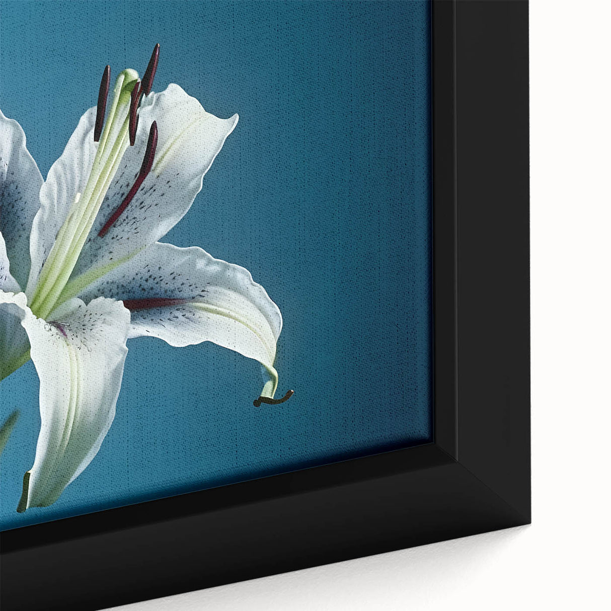 Close-up of a framed canvas artwork featuring vibrant yellow daffodils in a botanical design, showcasing intricate details and textures, ideal for home decor.