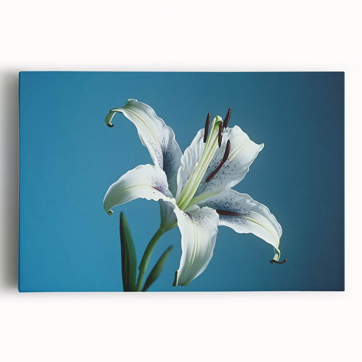 Stretched canvas artwork showcasing a vibrant botanical daffodil design, featuring intricate floral details and bright yellow blooms, ideal for home decor enhancement.