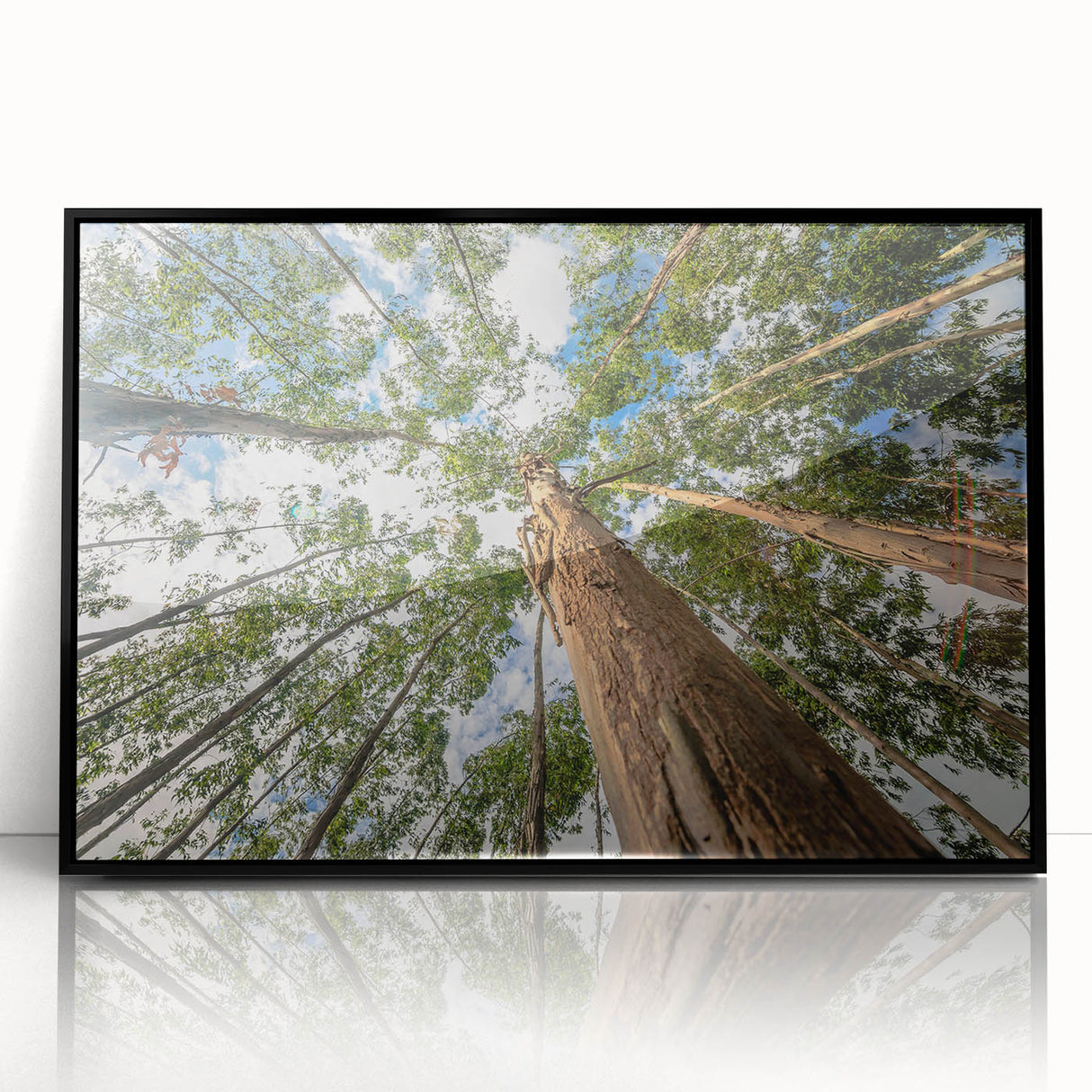 Framed wall art featuring an elegant botanical design of eucalyptus leaves in soft green tones, set in a sleek black frame, perfect for modern home decor.