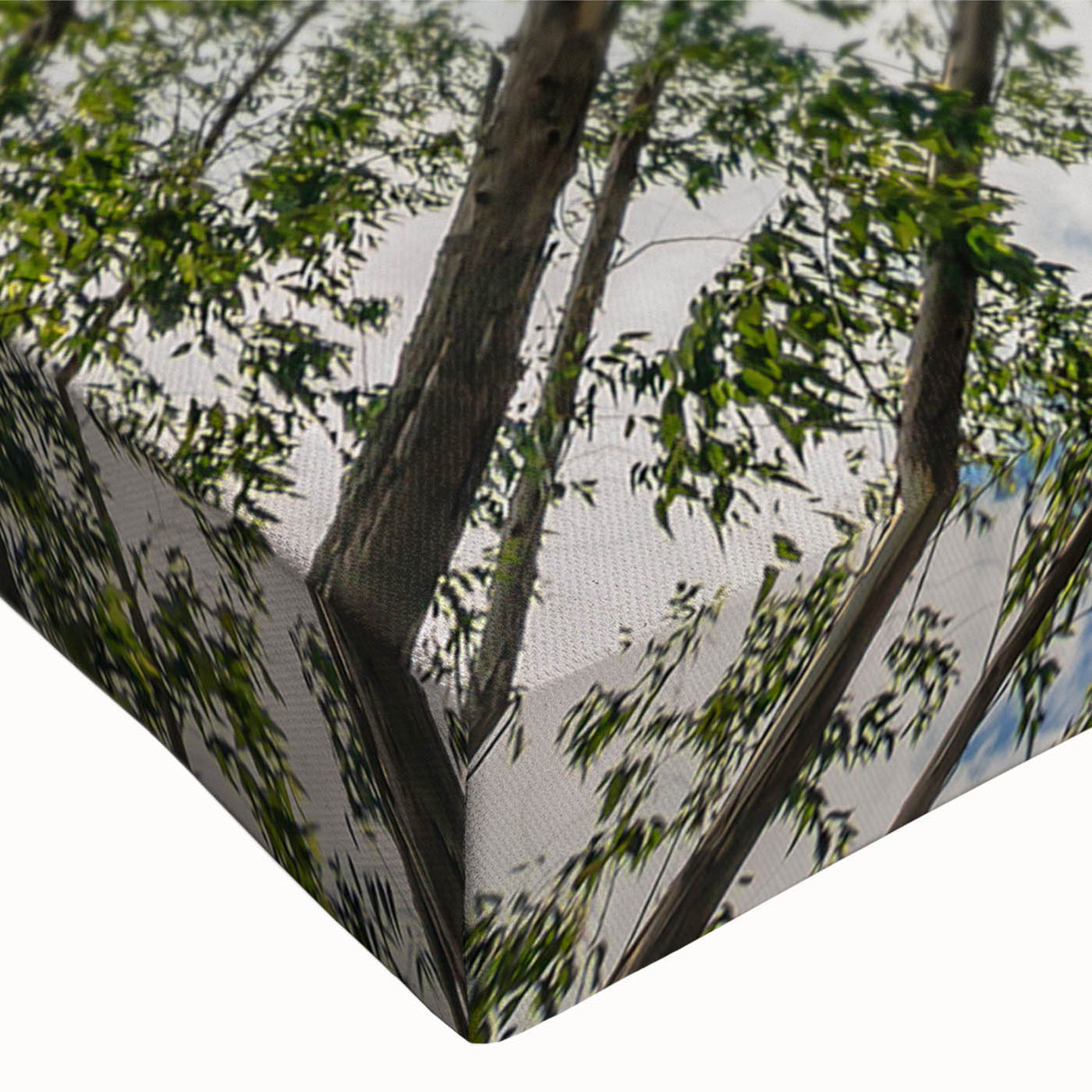 Close-up of a stretched canvas wall art featuring a botanical eucalyptus design with lush green tones, perfect for adding a touch of nature to home decor.