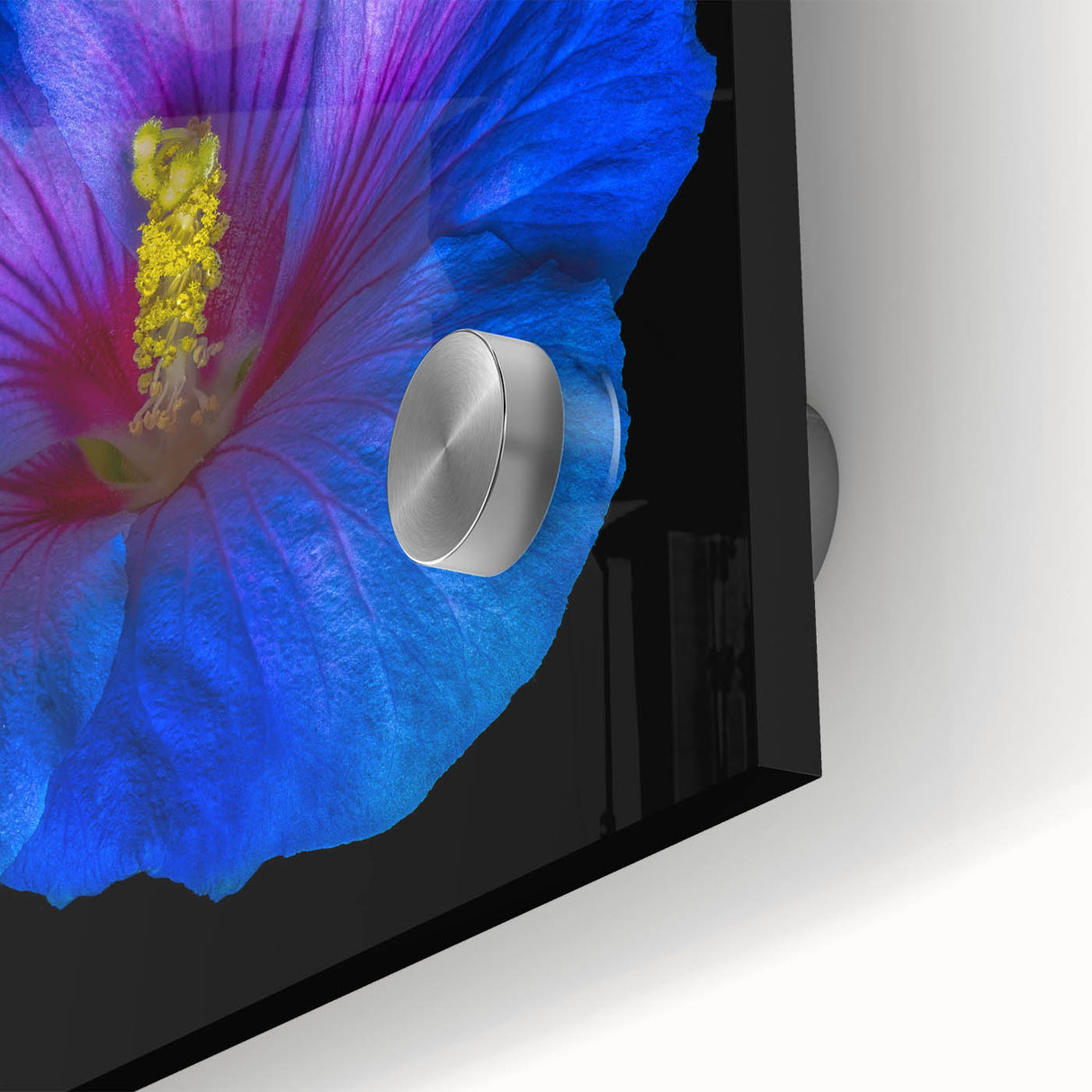 Close-up of a vibrant hibiscus floral design in a botanical wall art collection, showcasing bold colors and intricate details on acrylic glass, perfect for home decor.