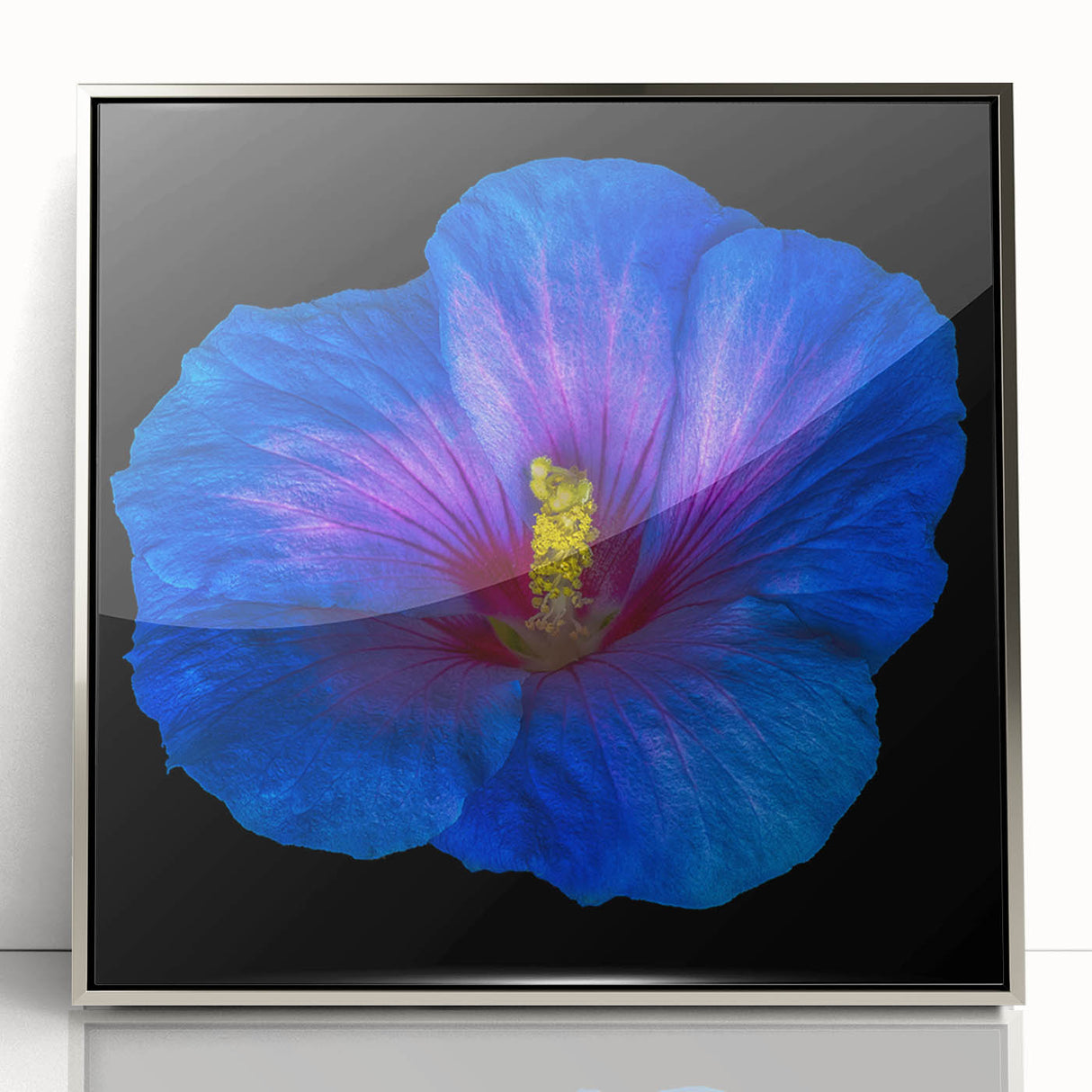 Framed acrylic wall art showcasing a vibrant botanical hibiscus design in silver, perfect for enhancing modern home decor with its elegant floral motif.