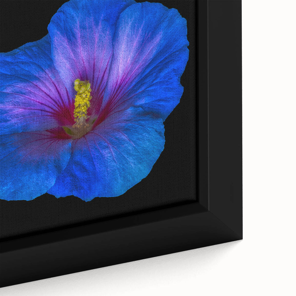 Close-up of a framed canvas wall art piece showcasing a vibrant hibiscus flower design, featuring rich colors and intricate botanical details, perfect for home decor.