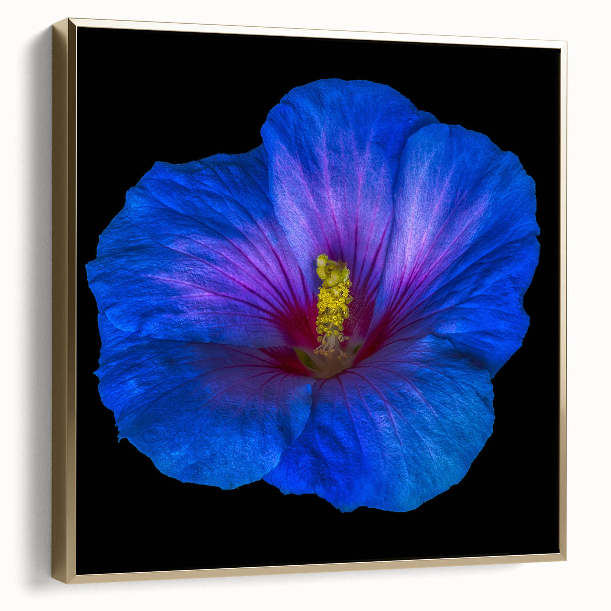 Framed wall art showcasing a vibrant hibiscus floral design in silver and gold tones, ideal for home decor or botanical-themed interiors. The canvas adds elegance and color to any room.