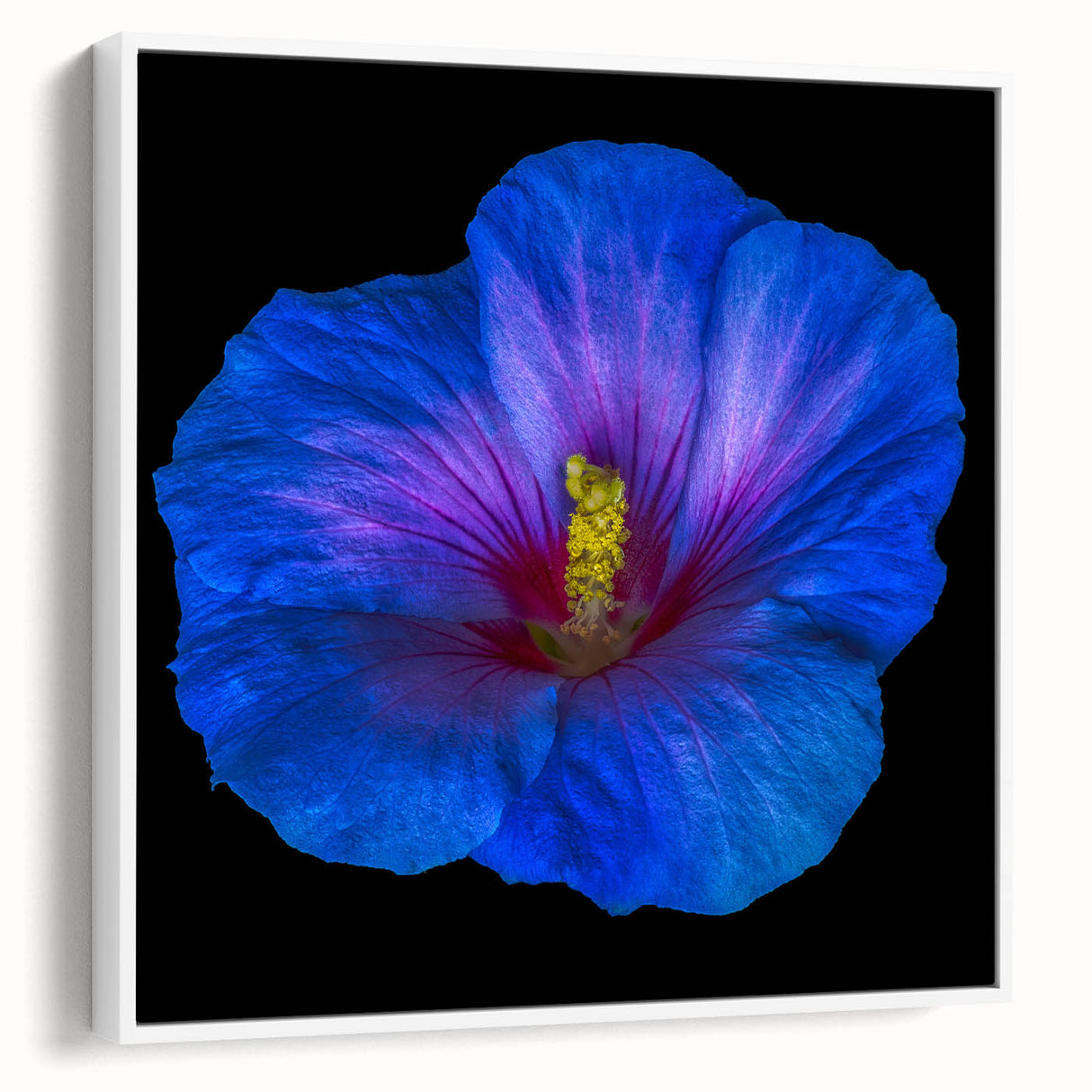 Framed canvas wall art showcasing a vibrant hibiscus floral design, featuring rich colors of pink and green, perfect for home decor or botanical-themed spaces.