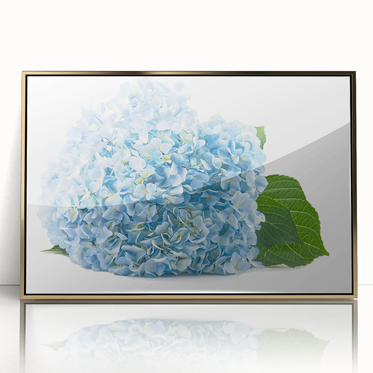 Framed acrylic wall art featuring a botanical hydrangea design with vibrant blue and green hues, elegantly set in a gold frame, perfect for home decor.