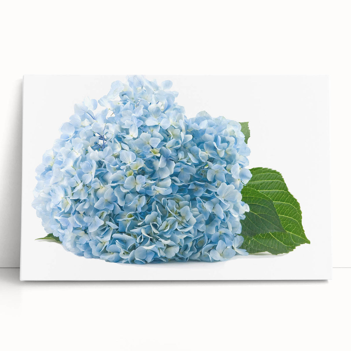Stretched canvas wall art showcasing a vibrant botanical hydrangea design, featuring rich blue and green hues, perfect for enhancing home decor with a natural touch.