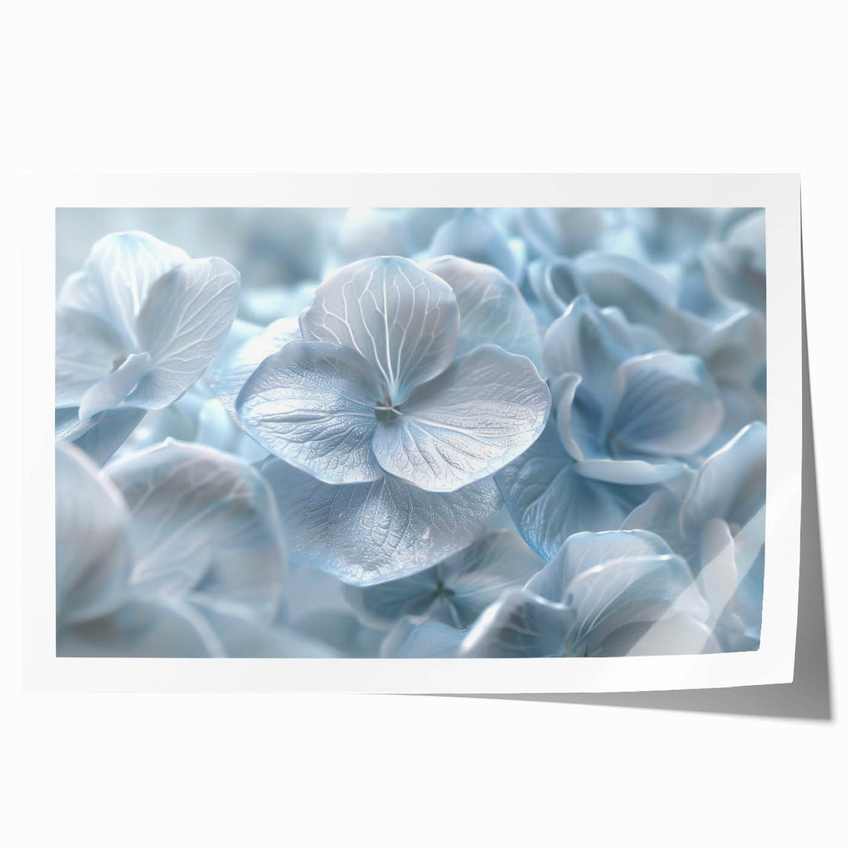 Botanical wall art print showcasing a vibrant hydrangea design with intricate petals and rich colors, rolled and ready for framing or display. Ideal for floral decor enthusiasts.