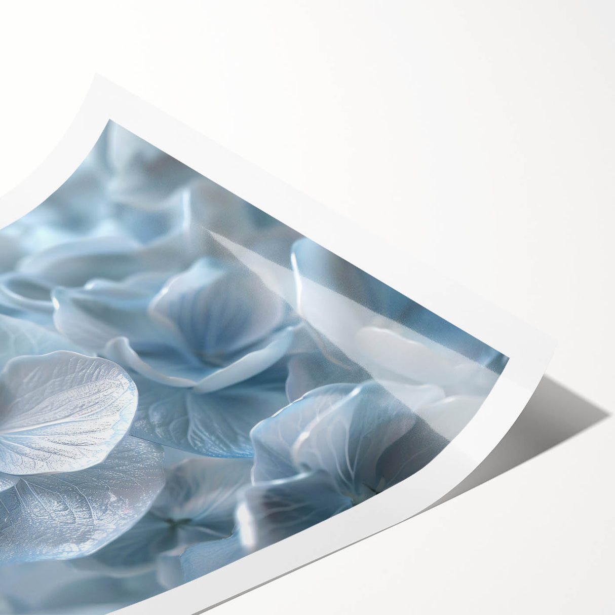 Hydrangea botanical wall art print showcasing vibrant blue and pink flowers, elegantly rolled for shipping, ideal for home decor or floral-themed interiors.