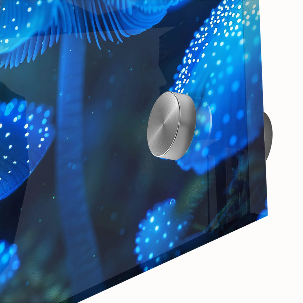 Close-up view of a vibrant botanical wall art piece showcasing marine plants, with intricate details and colors on acrylic glass, perfect for home decor.