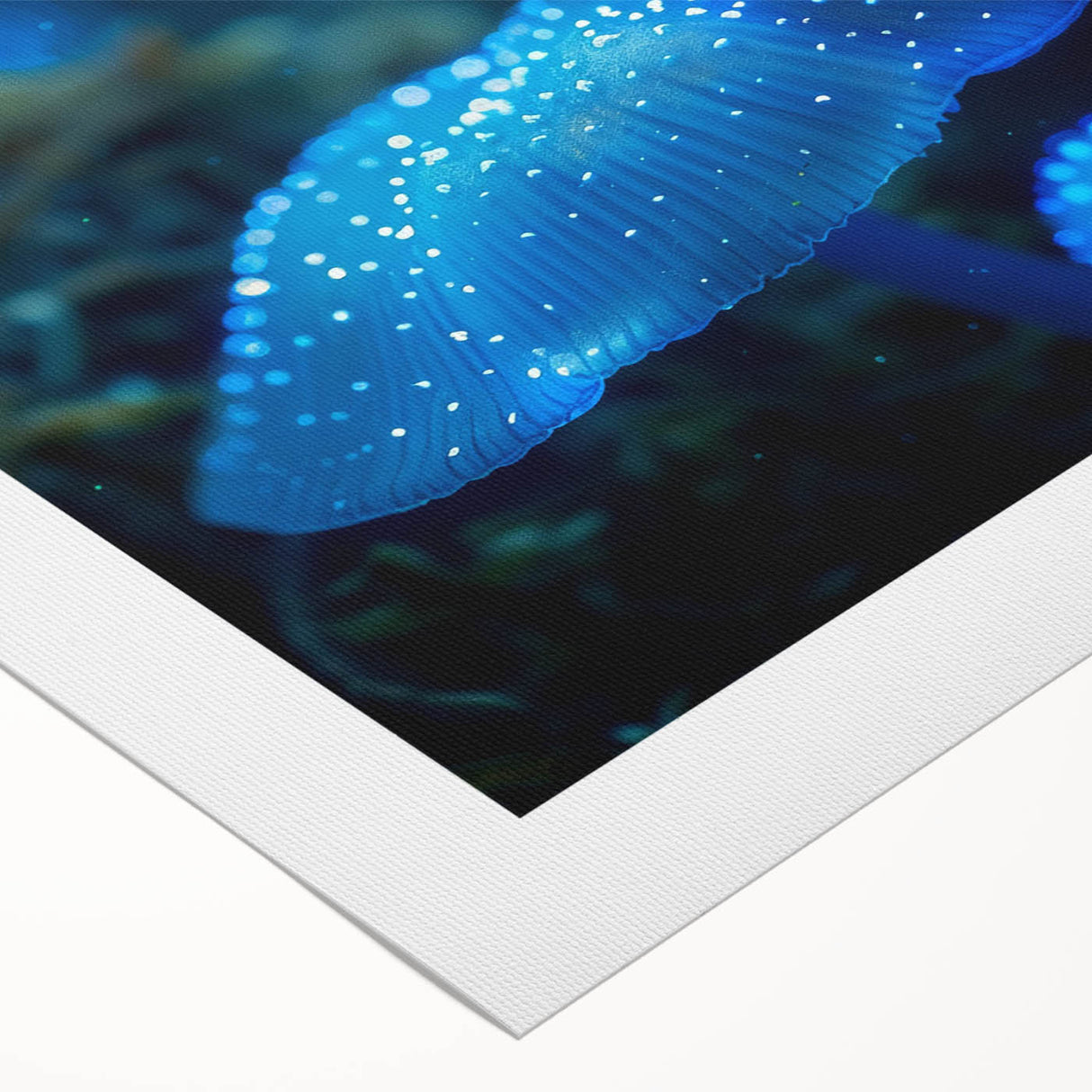 Rolled canvas print showcasing a vibrant botanical design of marine plants, featuring intricate details in green and blue hues, ideal for ocean-themed decor.