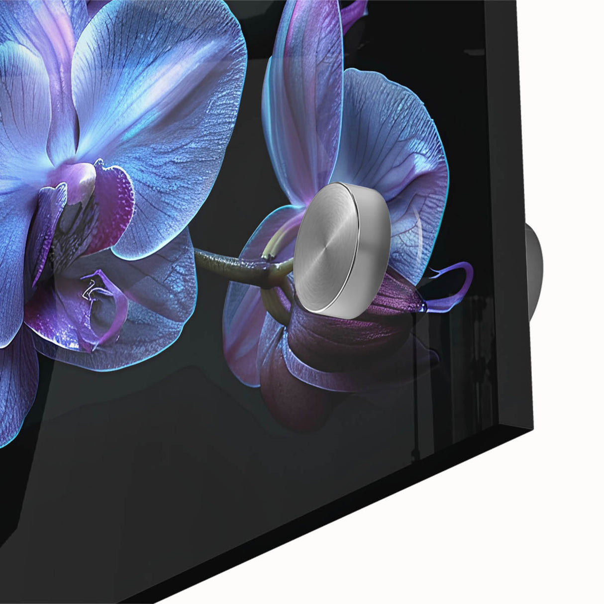 Close-up of a vibrant botanical orchid design wall art piece, showcasing intricate floral details and vivid colors on acrylic glass, perfect for home decor.