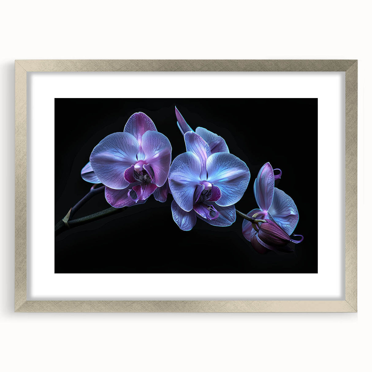 Botanical wall art featuring a detailed orchid design with a silver frame and mat, perfect for enhancing home decor with natural elegance and sophistication.