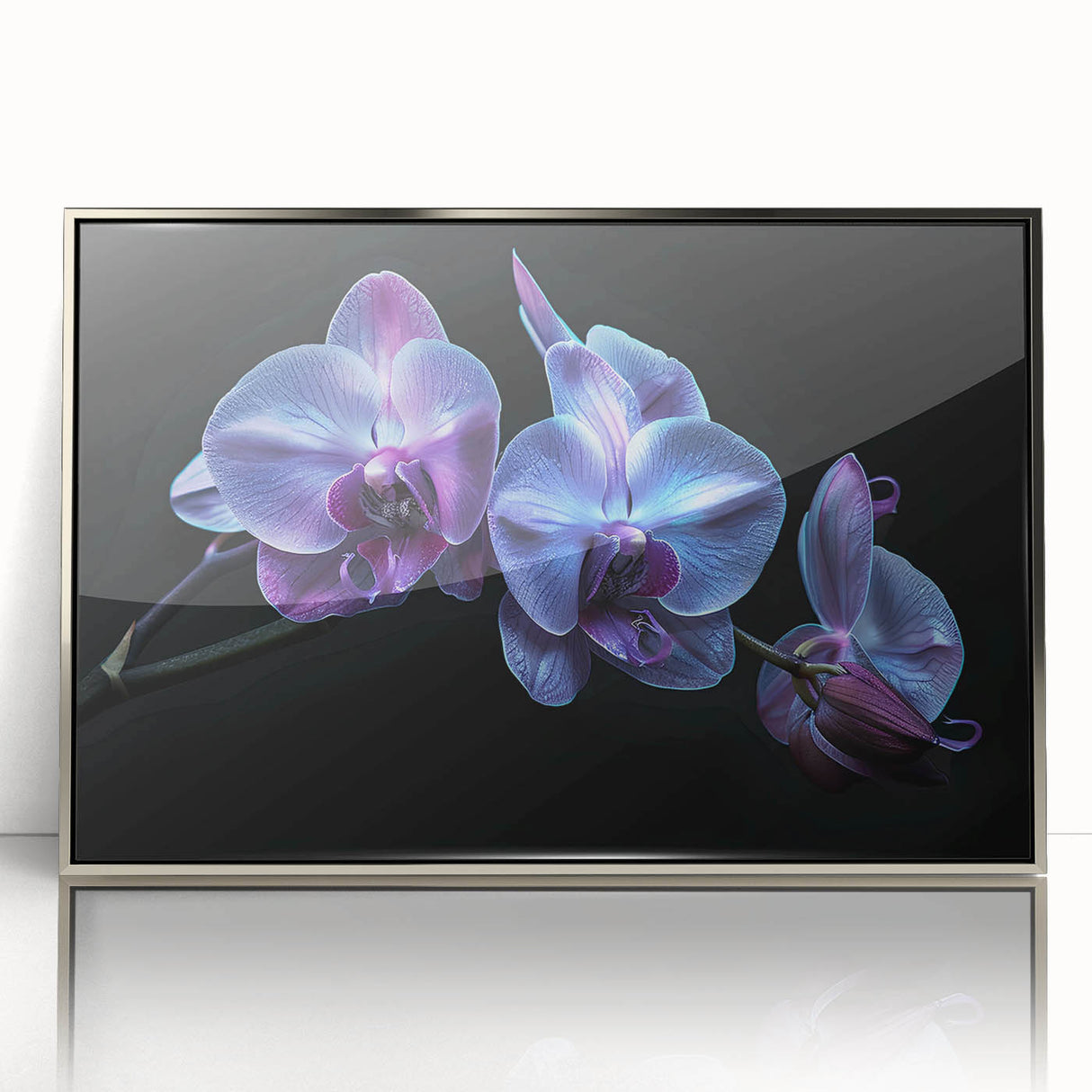 Framed wall art featuring a stunning botanical orchid design, showcasing vibrant colors and intricate details. The silver frame adds elegance, perfect for home decor.