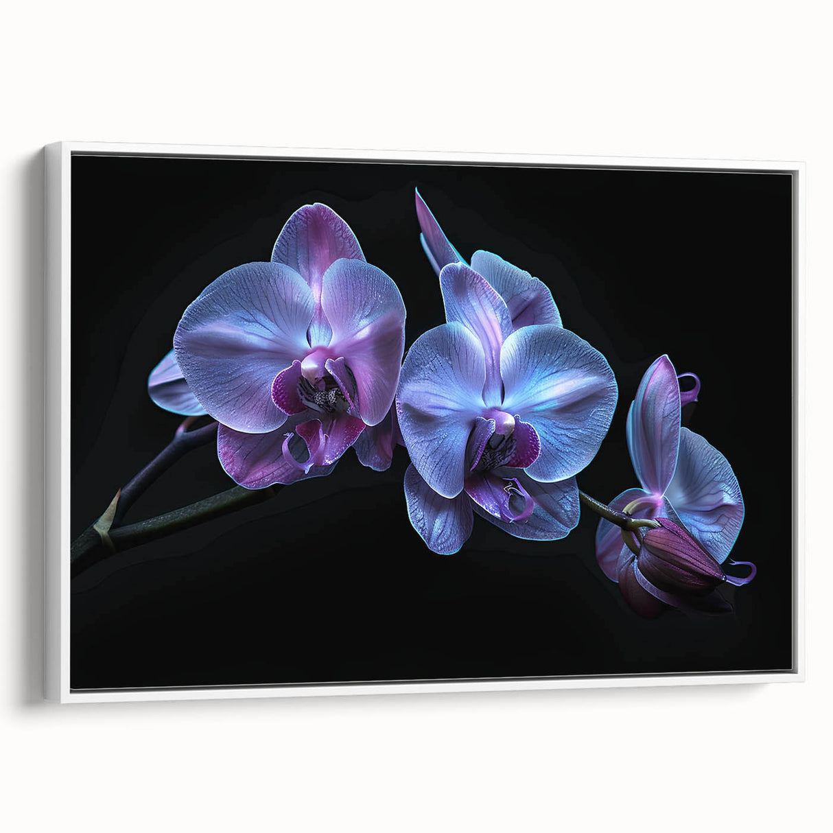 Framed canvas wall art featuring a botanical orchid design in vibrant colors, showcasing intricate floral details against a white background, ideal for home decor.