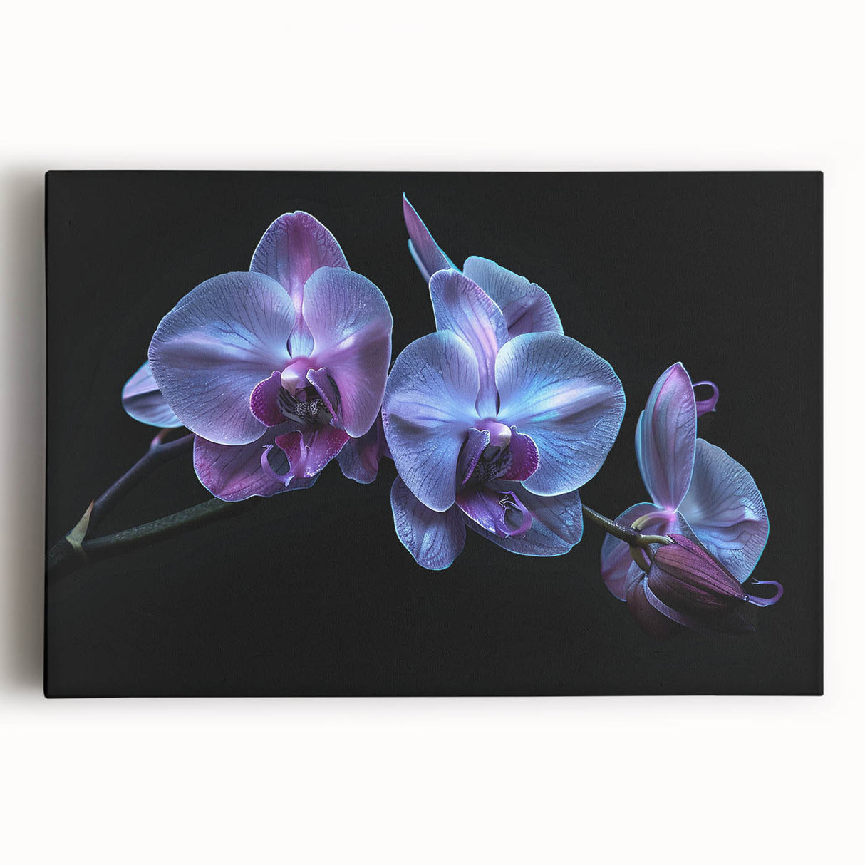 Stretched canvas wall art showcasing a vibrant botanical orchid design, featuring rich colors and intricate details, perfect for enhancing home decor.
