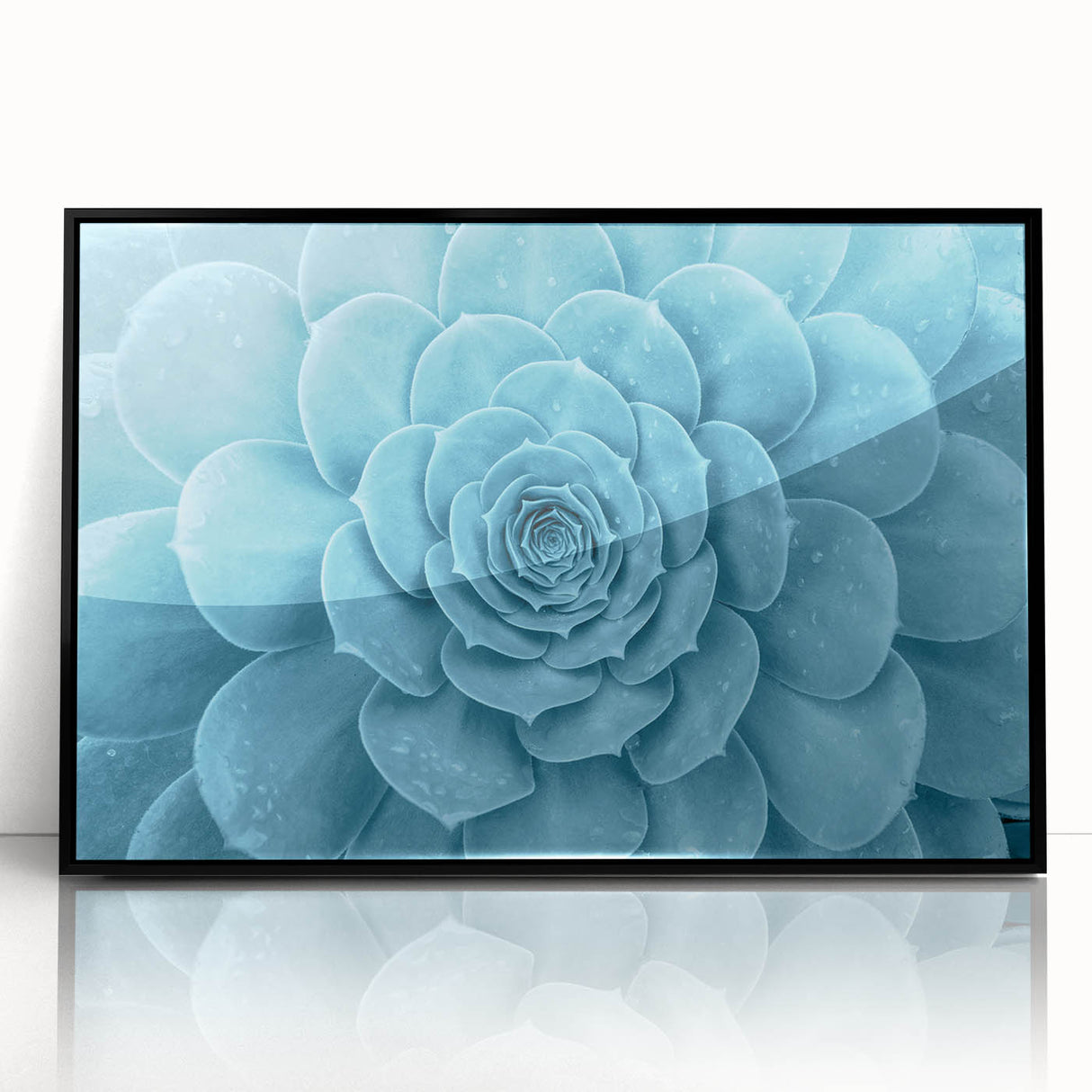 Framed wall art showcasing a botanical design of colorful succulents in a black acrylic frame, perfect for modern home decor and nature enthusiasts.