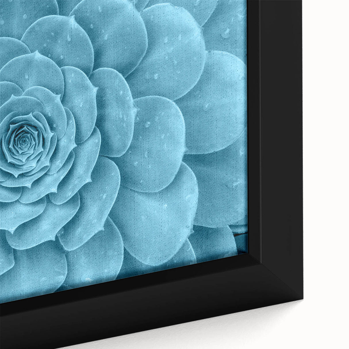 Close-up of a framed botanical wall art design featuring vibrant succulents and colorful flowers on a textured canvas, ideal for home decor and plant enthusiasts.