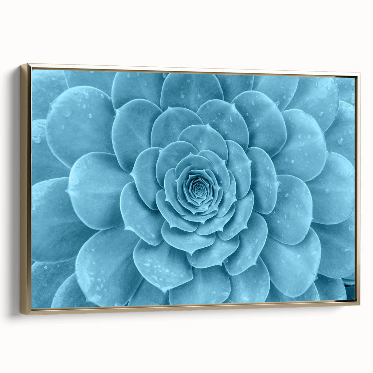 Framed wall art showcasing a collection of botanical succulents in vibrant colors, set against a sleek gold frame, perfect for home decor enhancement.