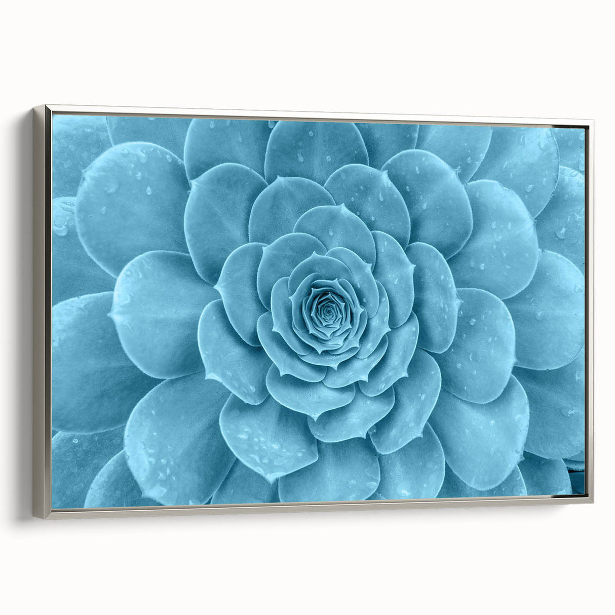Framed wall art collection showcasing vibrant botanical succulents design on canvas with a silver frame, adding elegance to interior decor.