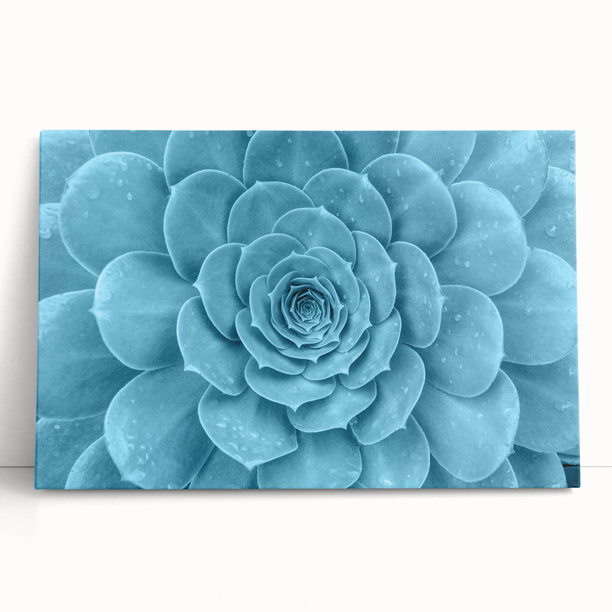 Vibrant wall art featuring a collection of botanical succulents in a modern design, printed on stretched canvas, perfect for home decor or office enhancement.