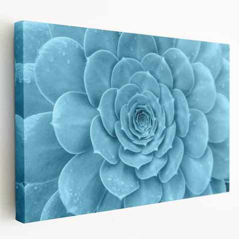 Stretched canvas wall art showcasing a vibrant botanical design with various succulents in shades of green and pink, ideal for home decor or gifting.